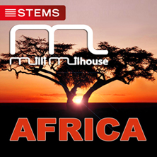 slide-milli_milhouse-africa