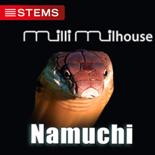 slide-milli_milhouse-namuchi